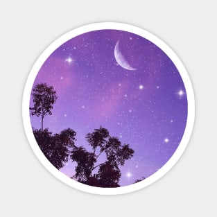 Starry Evening Sky Magnet